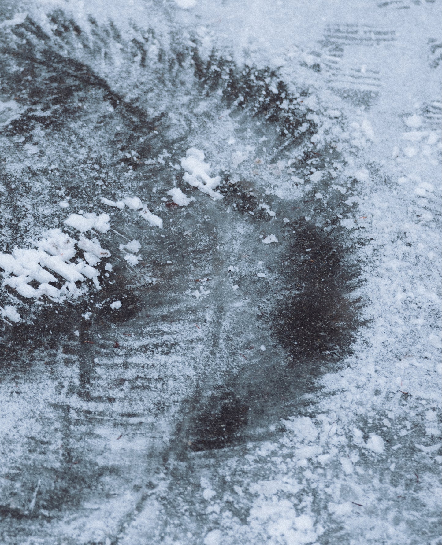 classic-snowlife-beanie-accesories/apparel