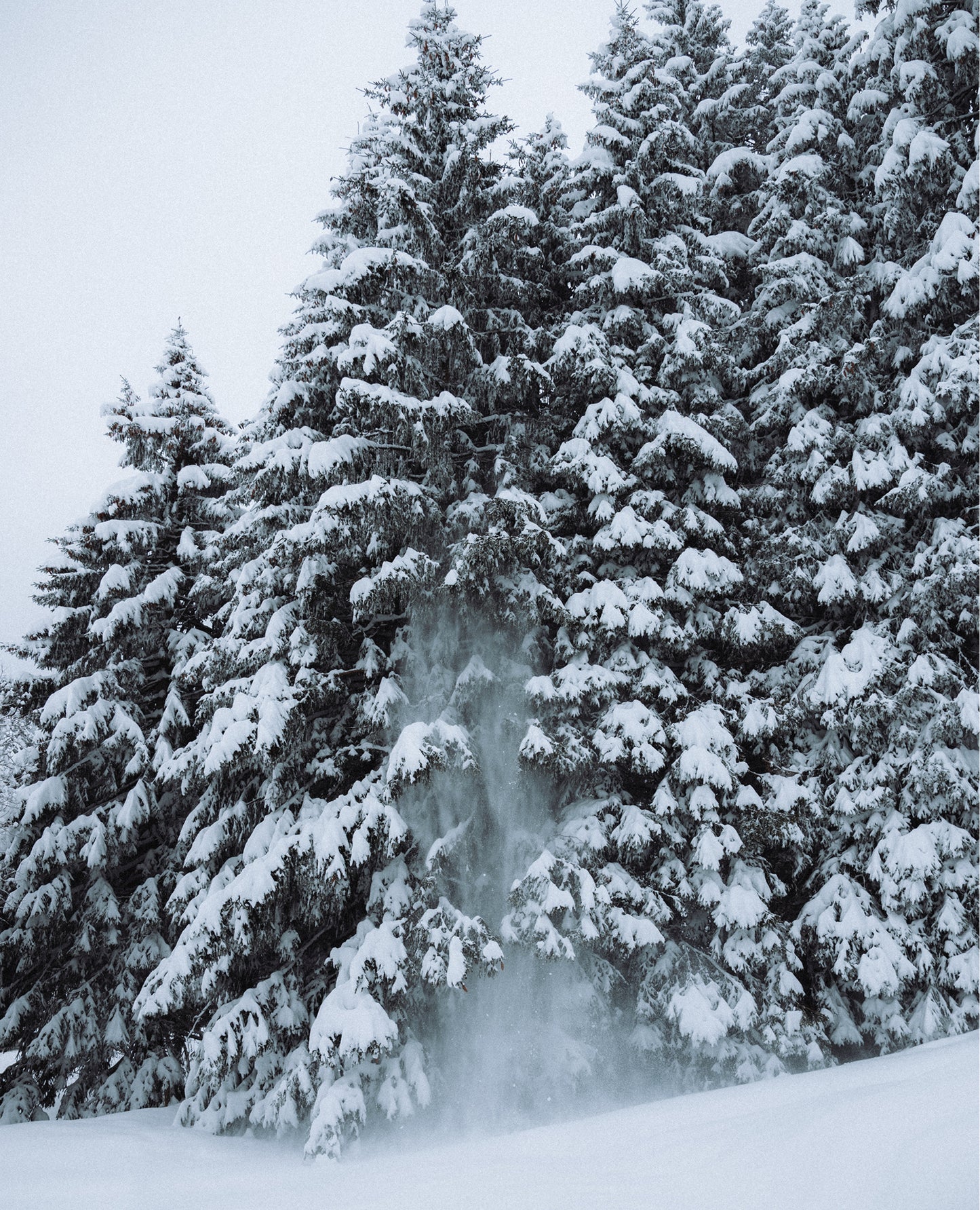 classic-snowlife-bomber-jacket-accesories/apparel