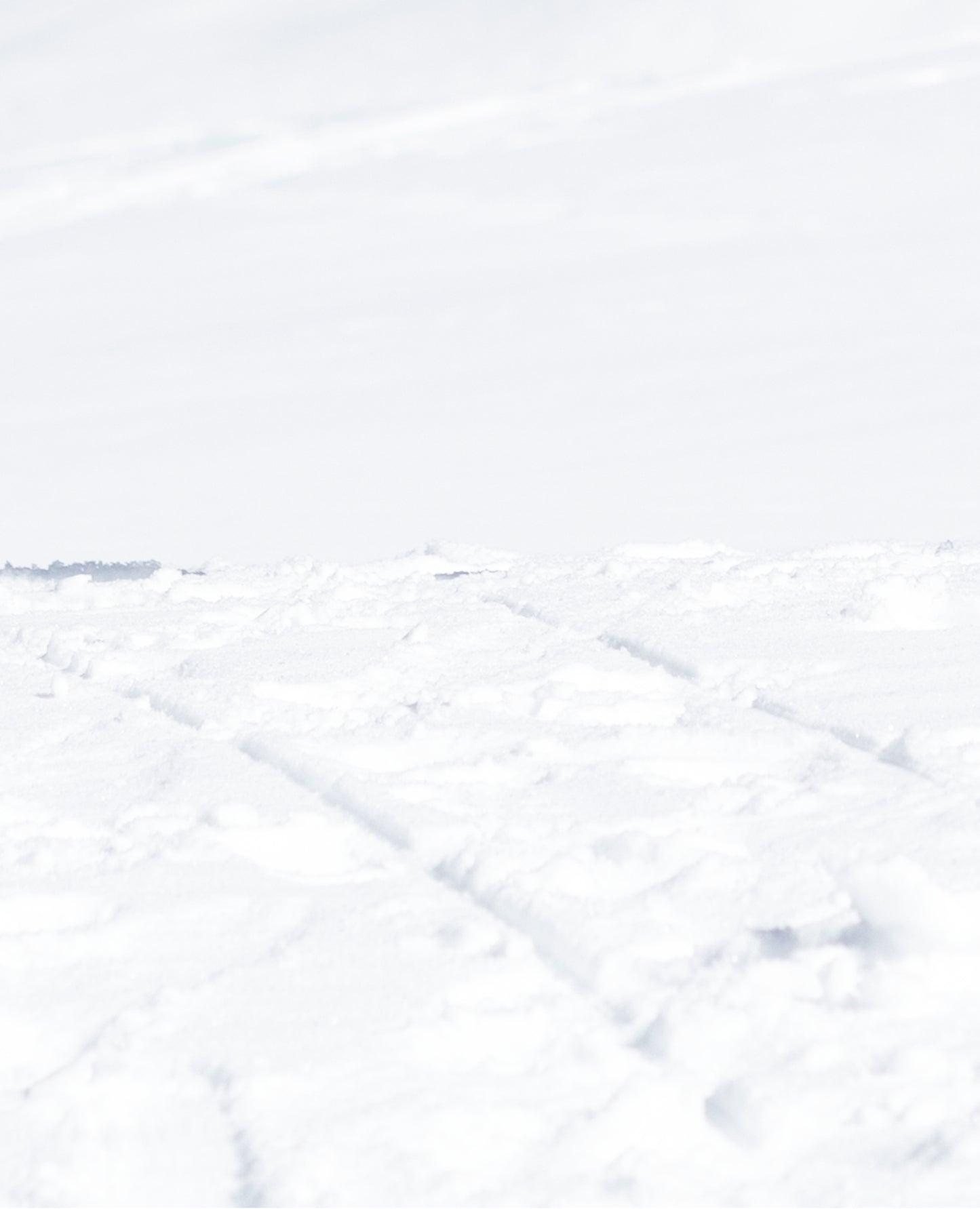 baby-animal-mitten-junior-&-kids