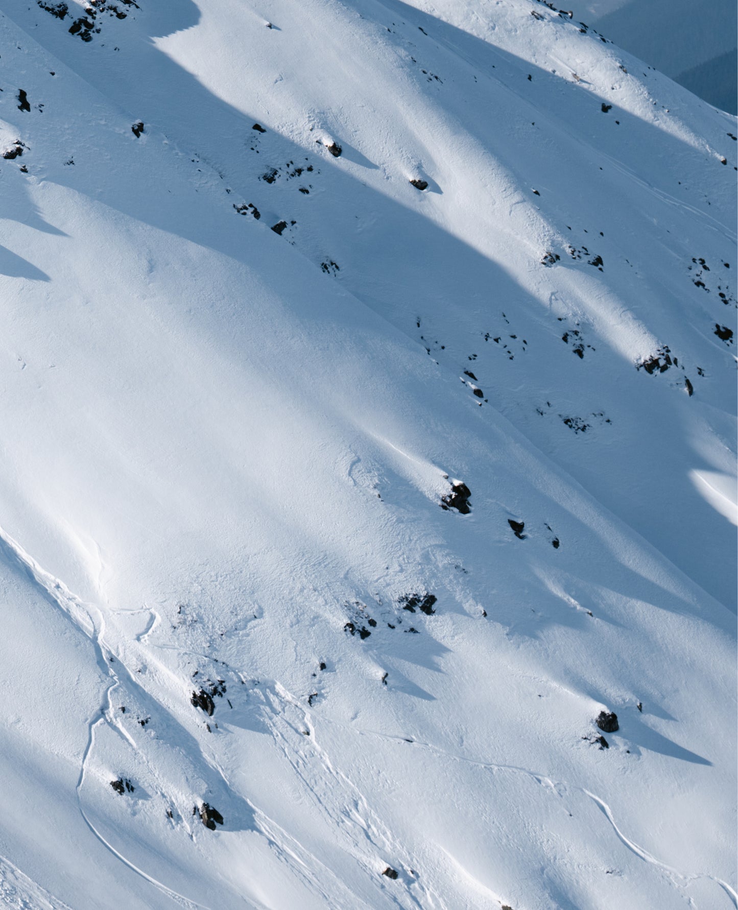 bios-groove-cap-bios