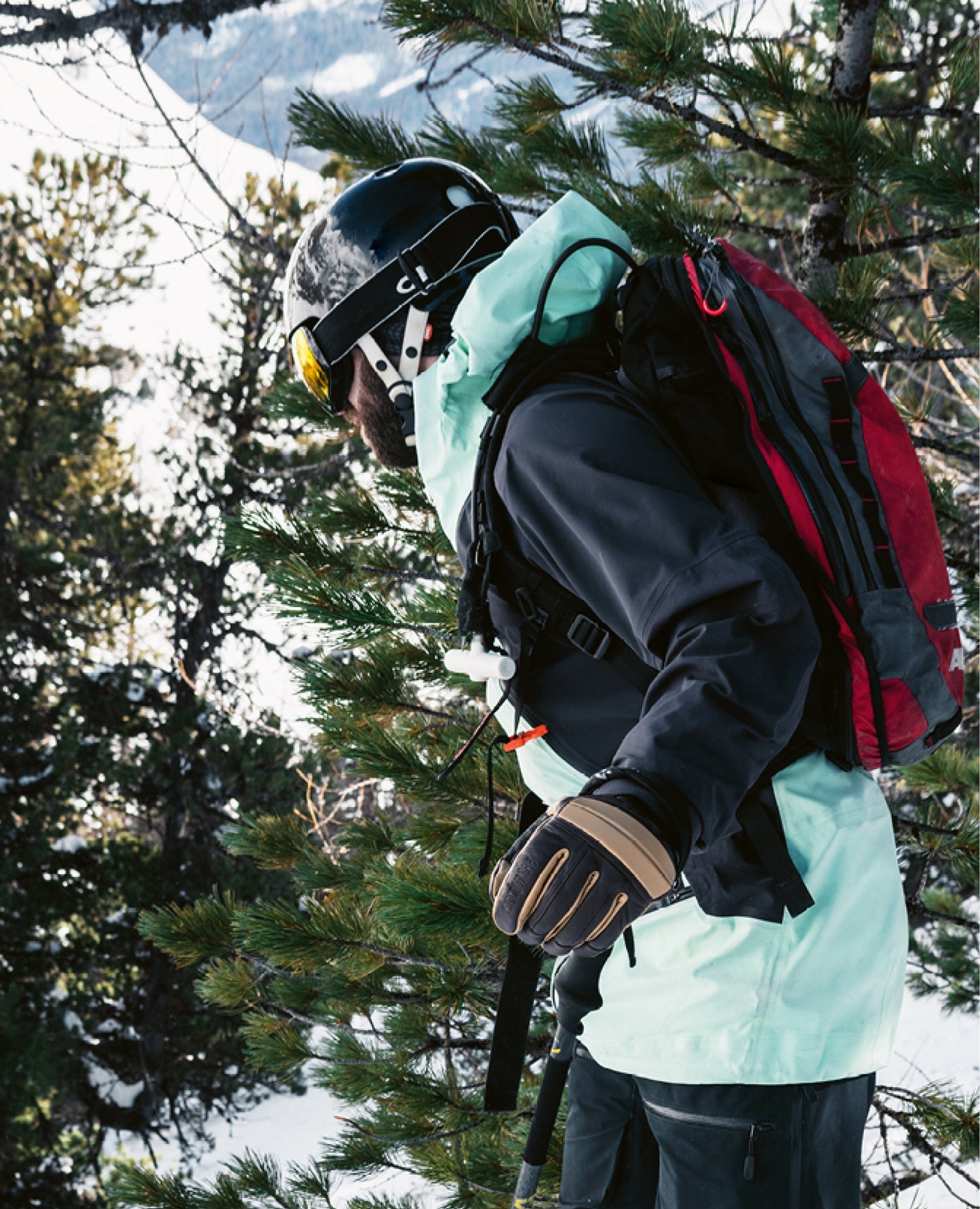 classic-leather-glove-free