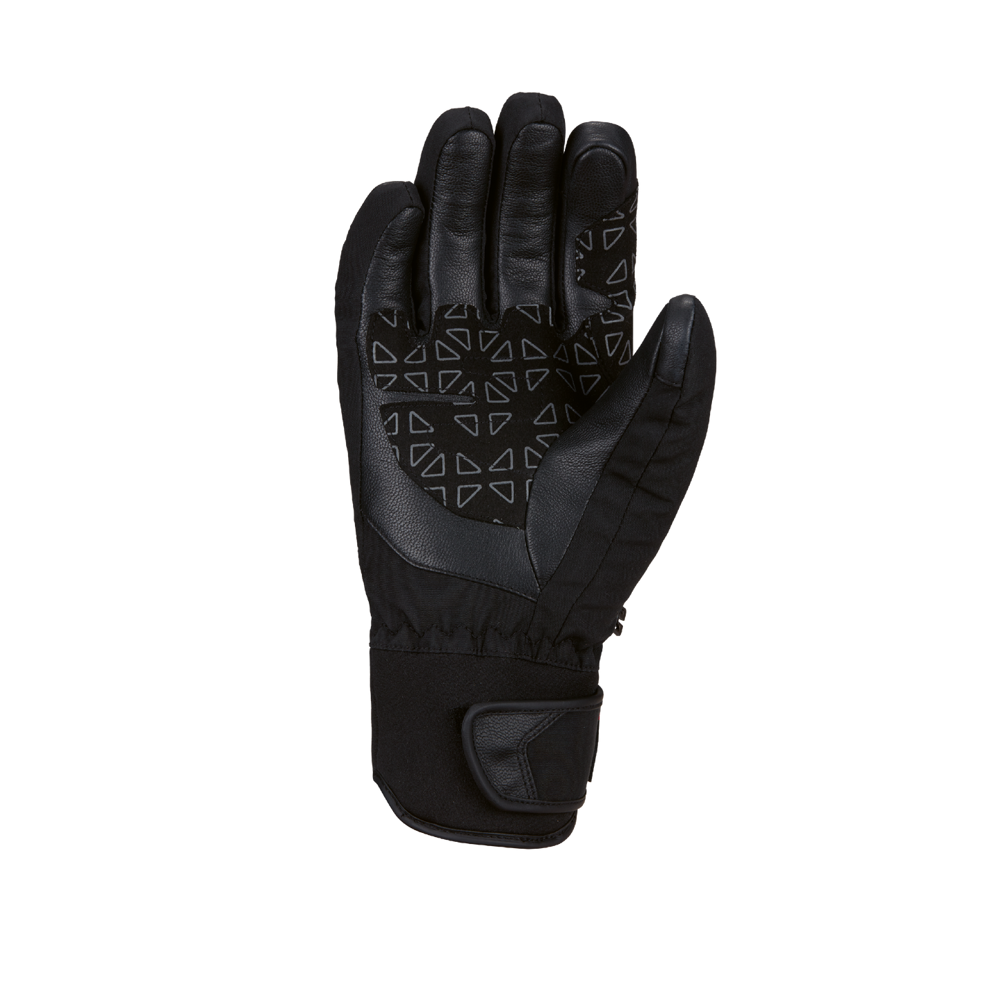 pace-dt-glove-alpine-classic | back