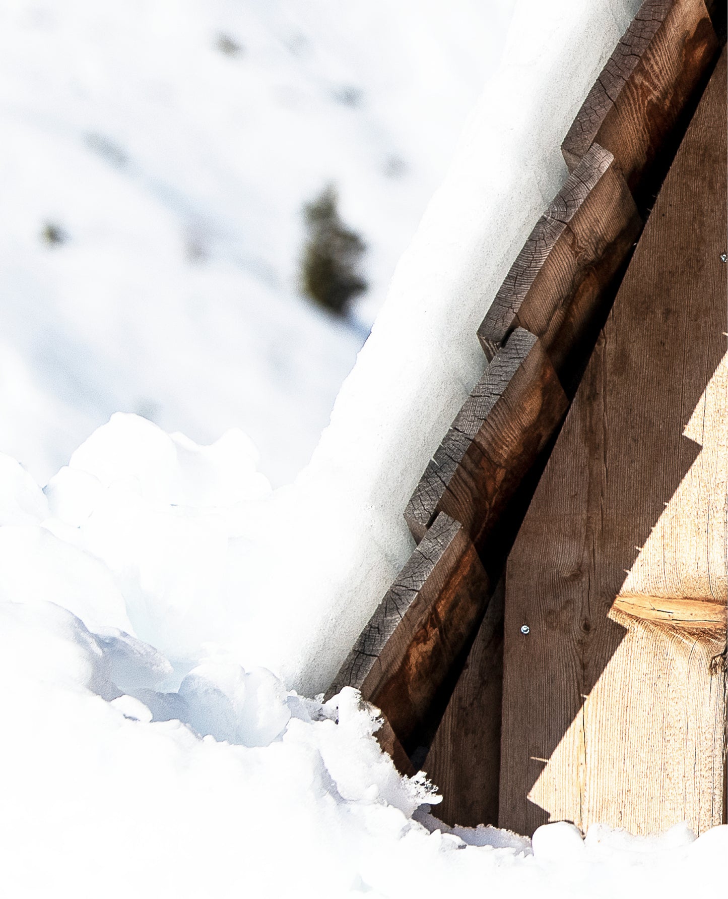 jr-racer-dt-glove-junior-&-kids