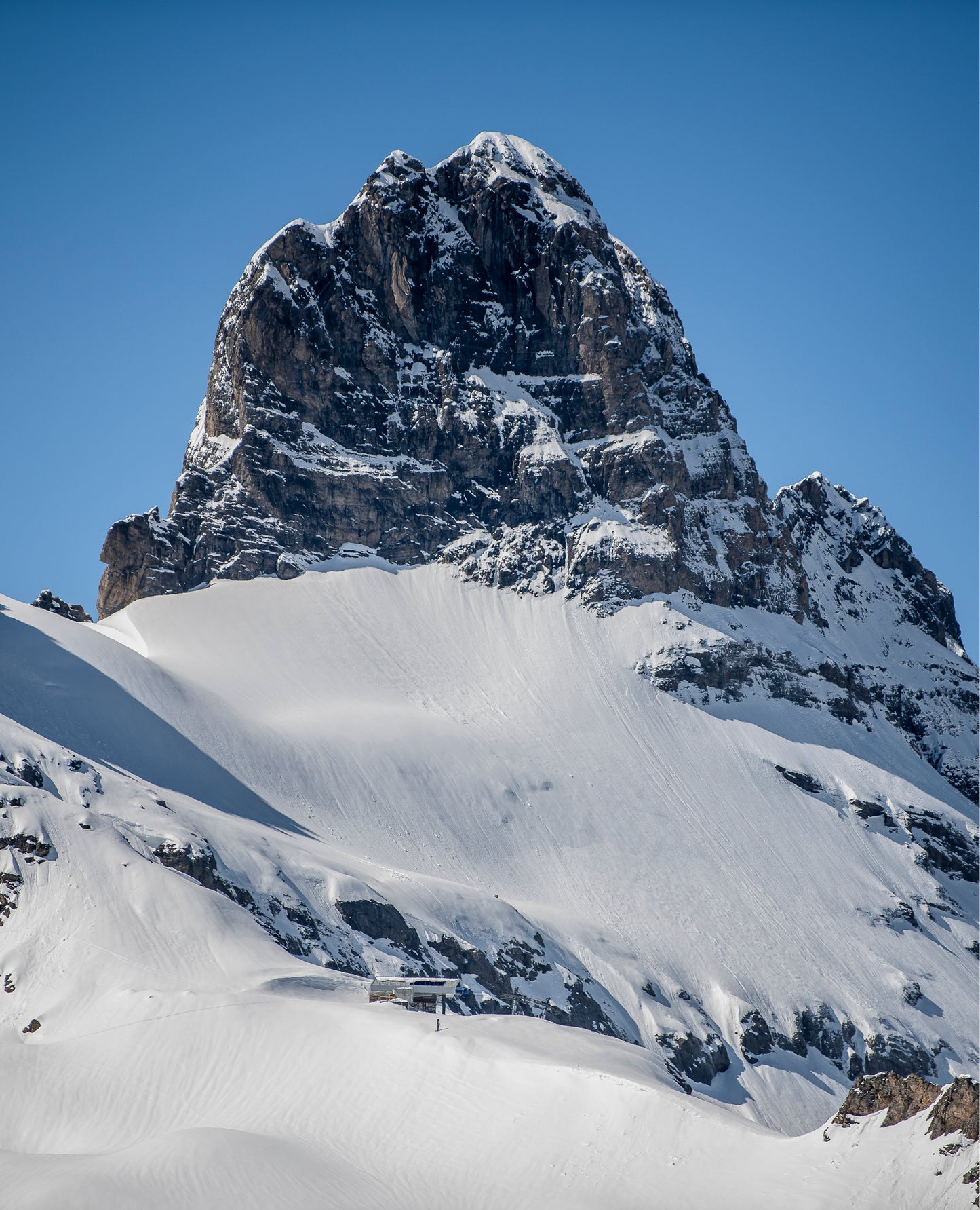 jr-world-cup-mitten-junior-&-kids