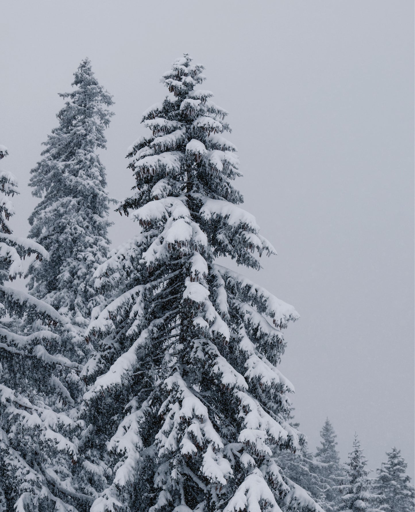 multi-ws-soft-shell-glove-multiuse/outdoor