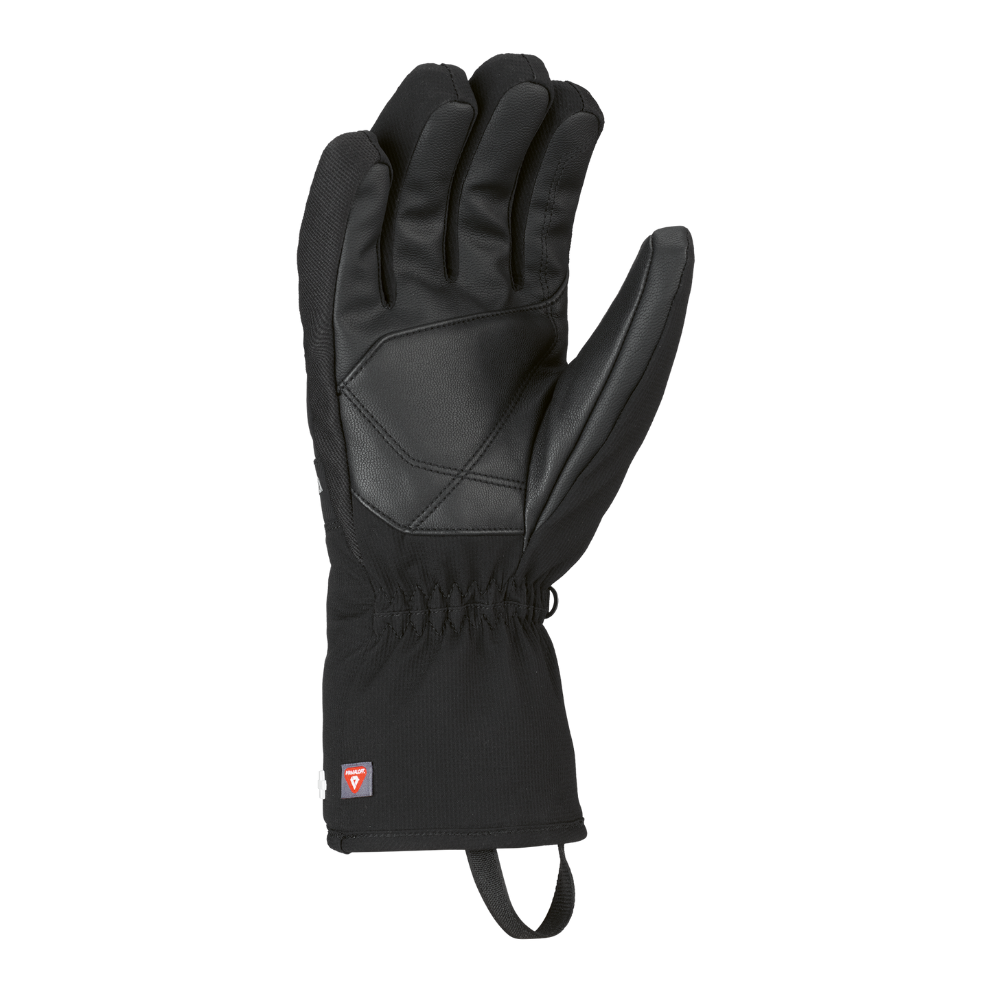 super-gtx-primaloft-glove---men-alpine-classic