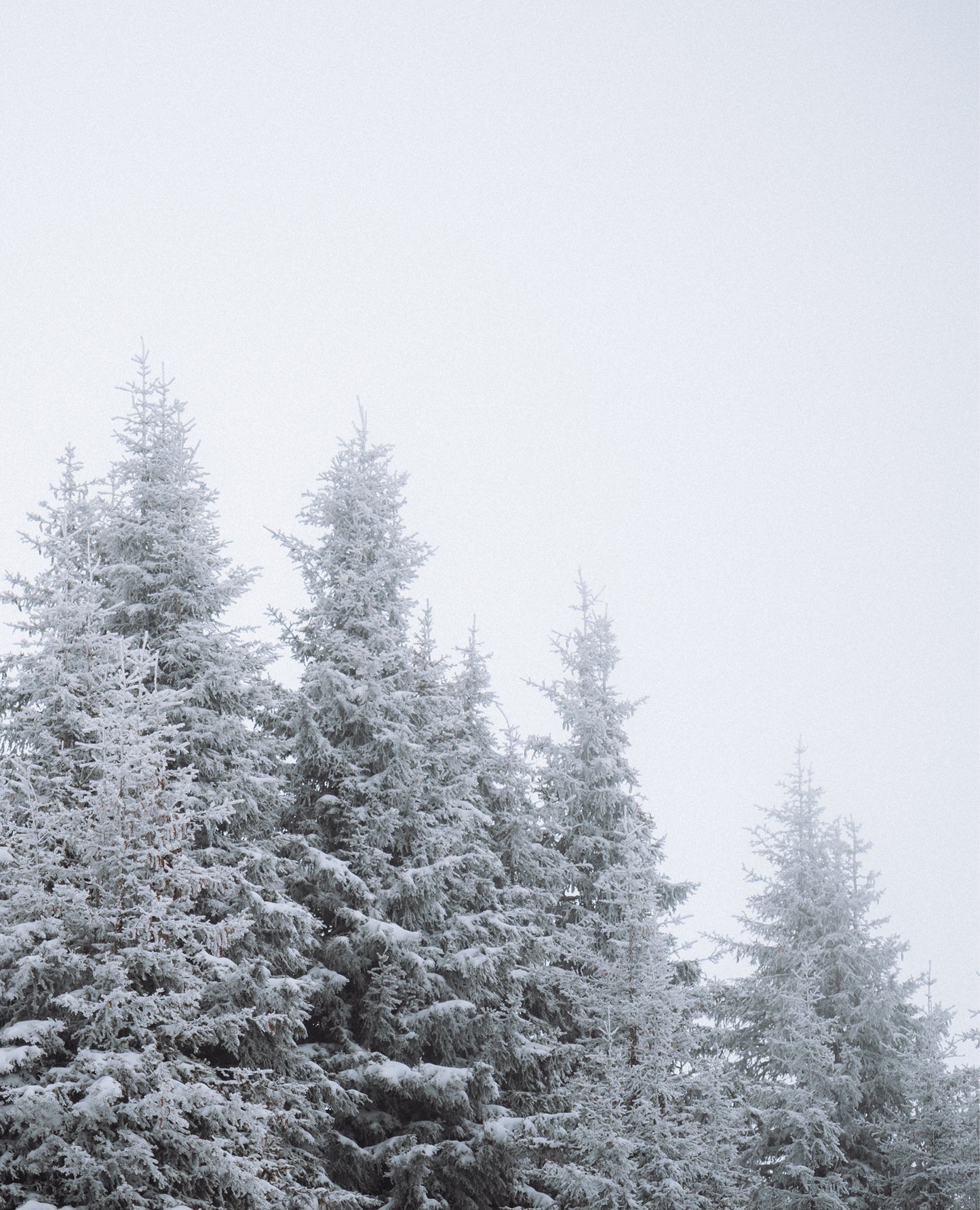 venture-gtx-mitten-free