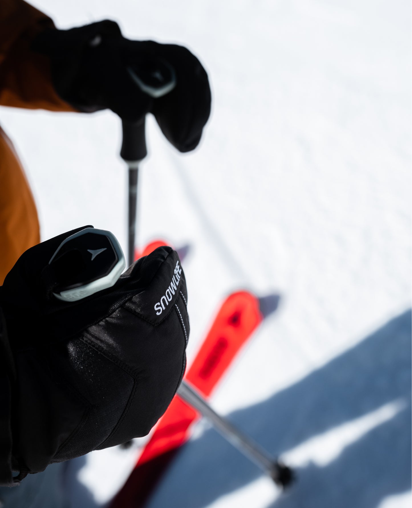 vivid-mitten-alpine-classic