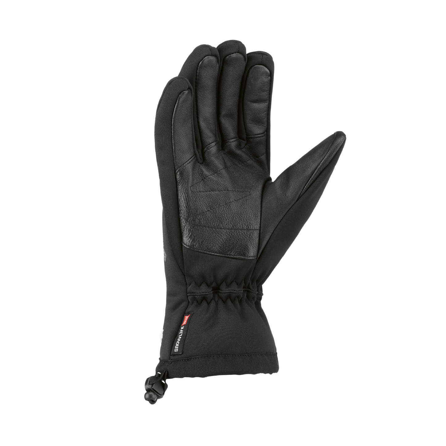 ws-soft-shell-glove-alpine-classic