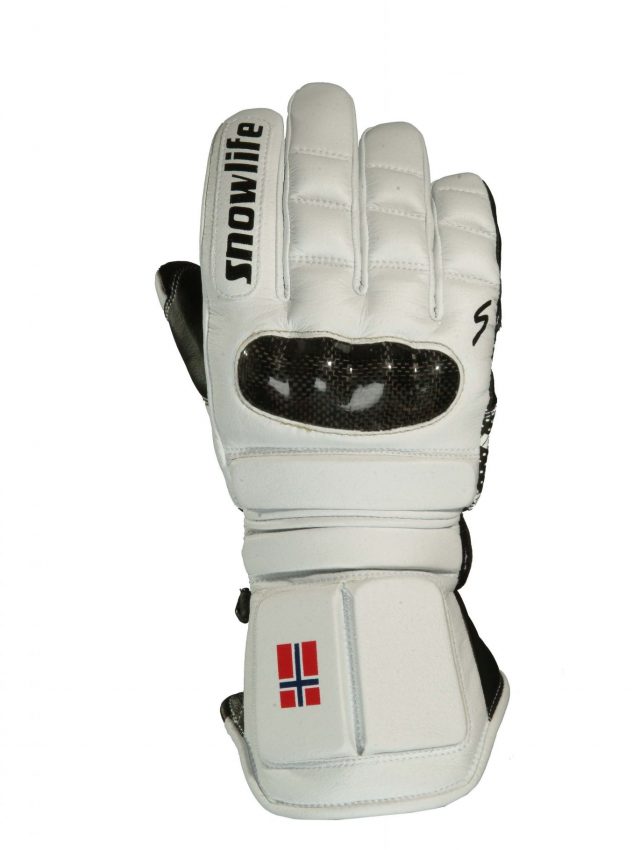 racing glove from 2004